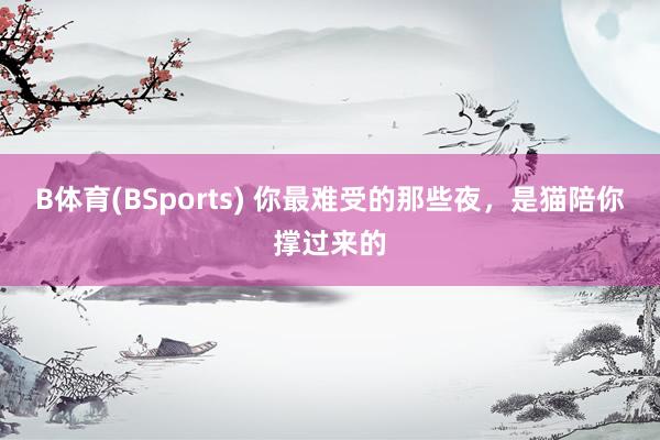B体育(BSports) 你最难受的那些夜，是猫陪你撑过来的