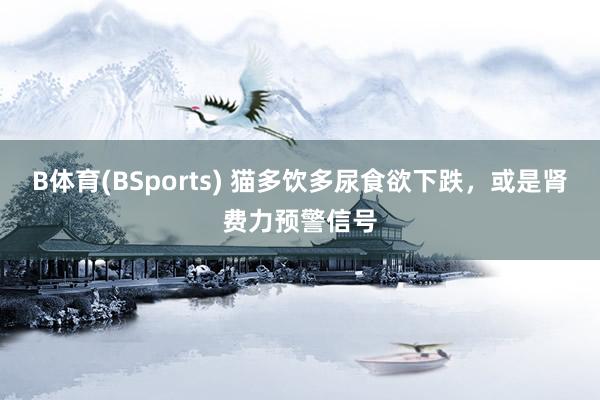 B体育(BSports) 猫多饮多尿食欲下跌，或是肾费力预警信号