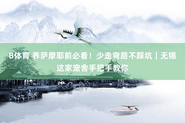 B体育 养萨摩耶前必看！少走弯路不踩坑｜无锡这家宠舍手把手教你