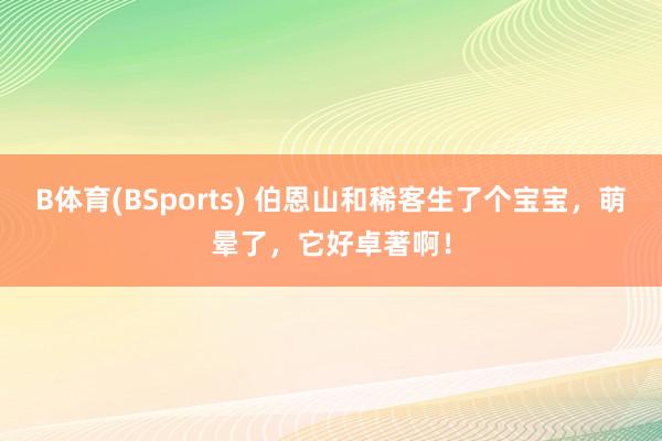 B体育(BSports) 伯恩山和稀客生了个宝宝，萌晕了，它好卓著啊！