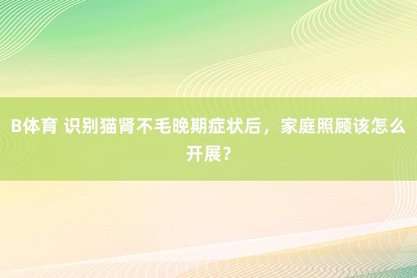 B体育 识别猫肾不毛晚期症状后，家庭照顾该怎么开展？