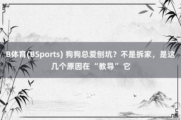 B体育(BSports) 狗狗总爱刨坑？不是拆家，是这几个原因在 “教导” 它