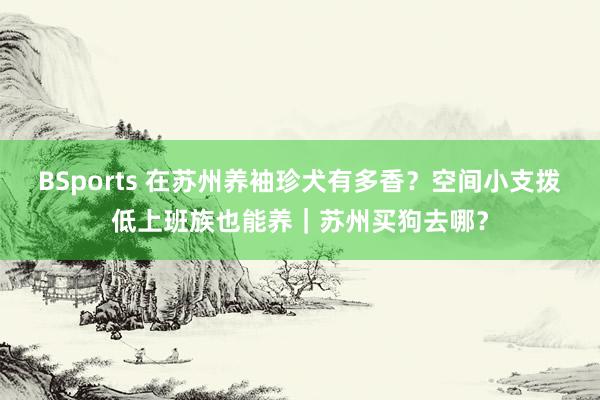 BSports 在苏州养袖珍犬有多香？空间小支拨低上班族也能养｜苏州买狗去哪？