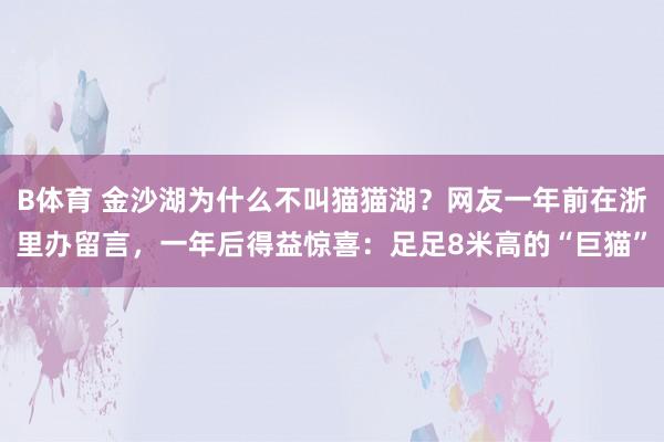 B体育 金沙湖为什么不叫猫猫湖？网友一年前在浙里办留言，一年后得益惊喜：足足8米高的“巨猫”