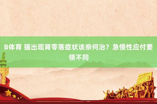 B体育 猫出现肾零落症状该奈何治？急慢性应付要领不同