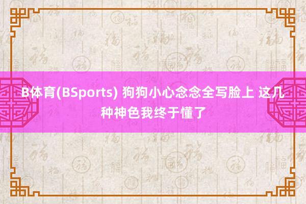 B体育(BSports) 狗狗小心念念全写脸上 这几种神色我终于懂了