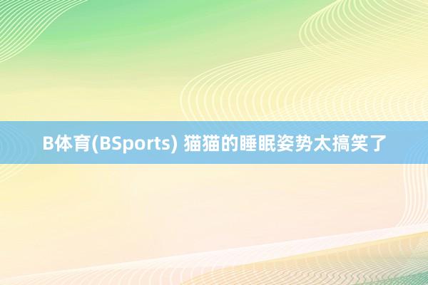 B体育(BSports) 猫猫的睡眠姿势太搞笑了