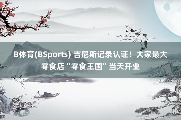 B体育(BSports) 吉尼斯记录认证！大家最大零食店“零食王国”当天开业