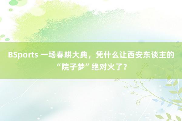 BSports 一场春耕大典，凭什么让西安东谈主的“院子梦”绝对火了？