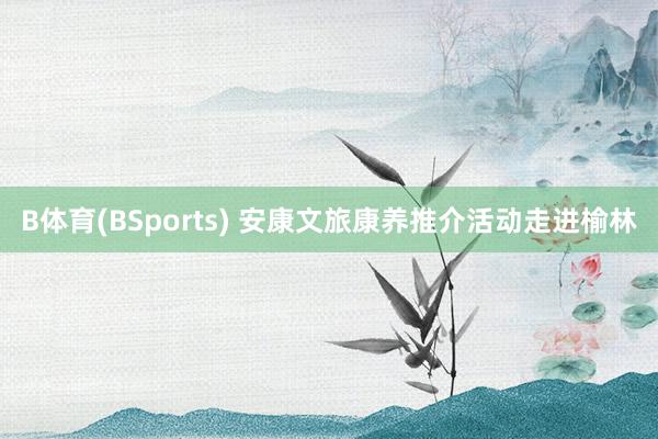 B体育(BSports) 安康文旅康养推介活动走进榆林