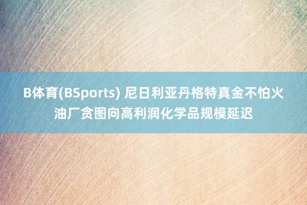 B体育(BSports) 尼日利亚丹格特真金不怕火油厂贪图向高利润化学品规模延迟