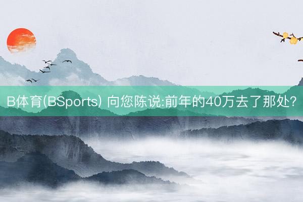 B体育(BSports) 向您陈说:前年的40万去了那处？