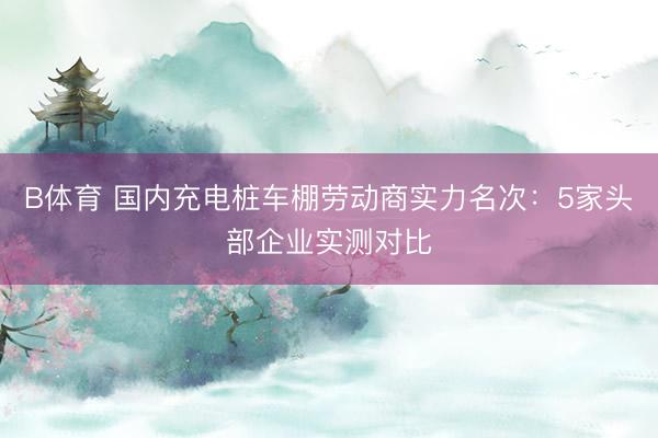 B体育 国内充电桩车棚劳动商实力名次：5家头部企业实测对比
